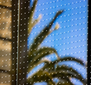 Blurry image of a palm tree