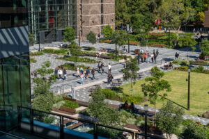 Aerial view of Macquarie University Campus
